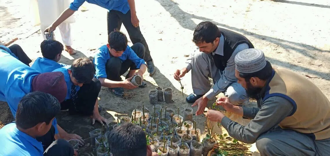 Green Seekers Activity